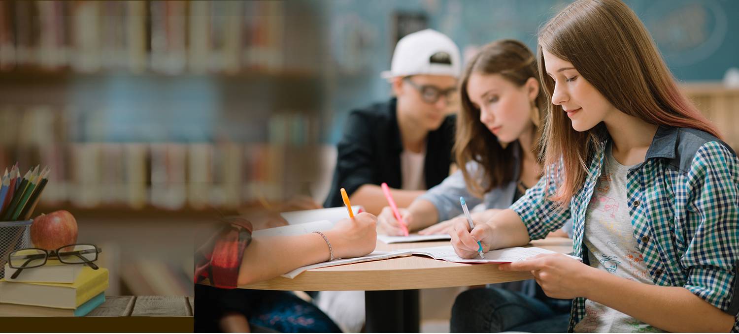 Edumentor Services
